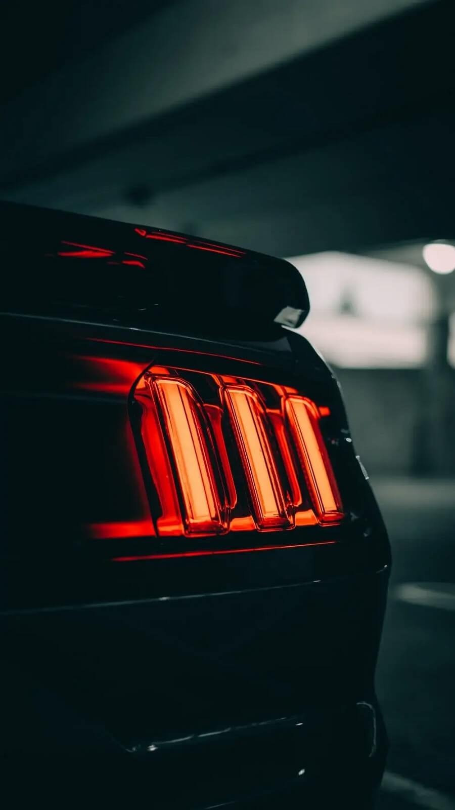 Window Tint